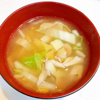 白菜と舞茸の☆冬に美味しいお味噌汁